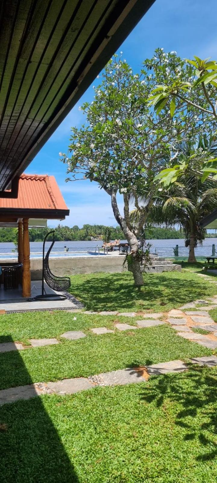 Villa Lausanne Dharga Town Bagian luar foto